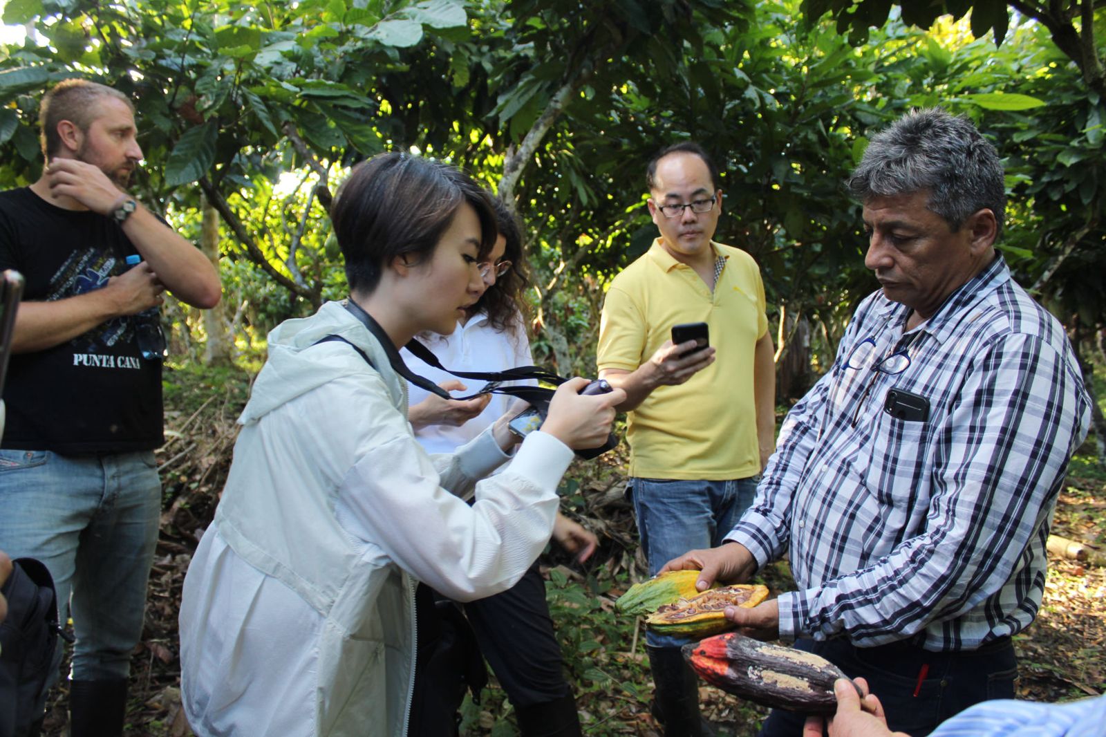 Personal del ICT mostrando frutos de cacao a visitantes durante una visita de campo en San Martín